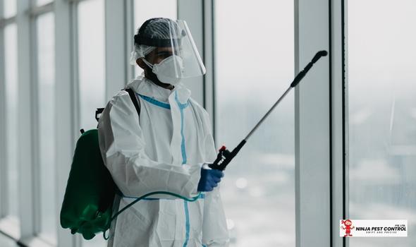 Pest Control For Healthcare | Ninja Pest Control